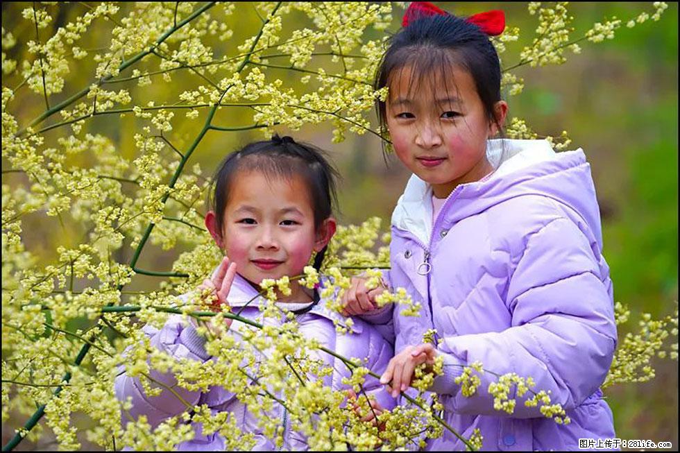 【春天，广西桂林灌阳县向您发出邀请！】米珠山前有片山苍子花在飘香 - 游山玩水 - 辽源生活社区 - 辽源28生活网 liaoyuan.28life.net