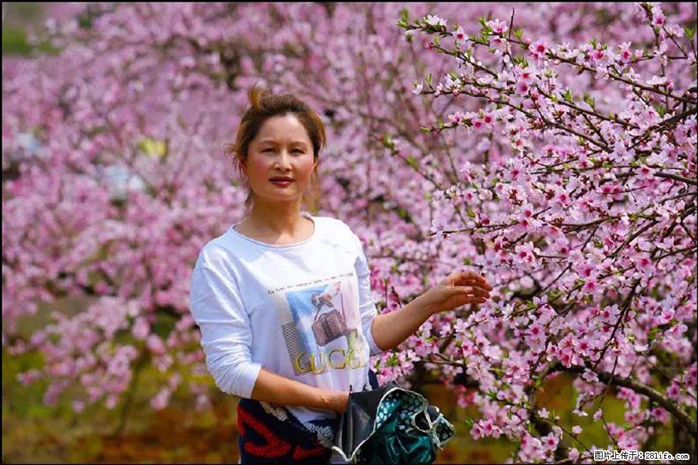 【春天，广西桂林灌阳县向您发出邀请！】官庄村有个醉美的桃花园 - 游山玩水 - 辽源生活社区 - 辽源28生活网 liaoyuan.28life.net