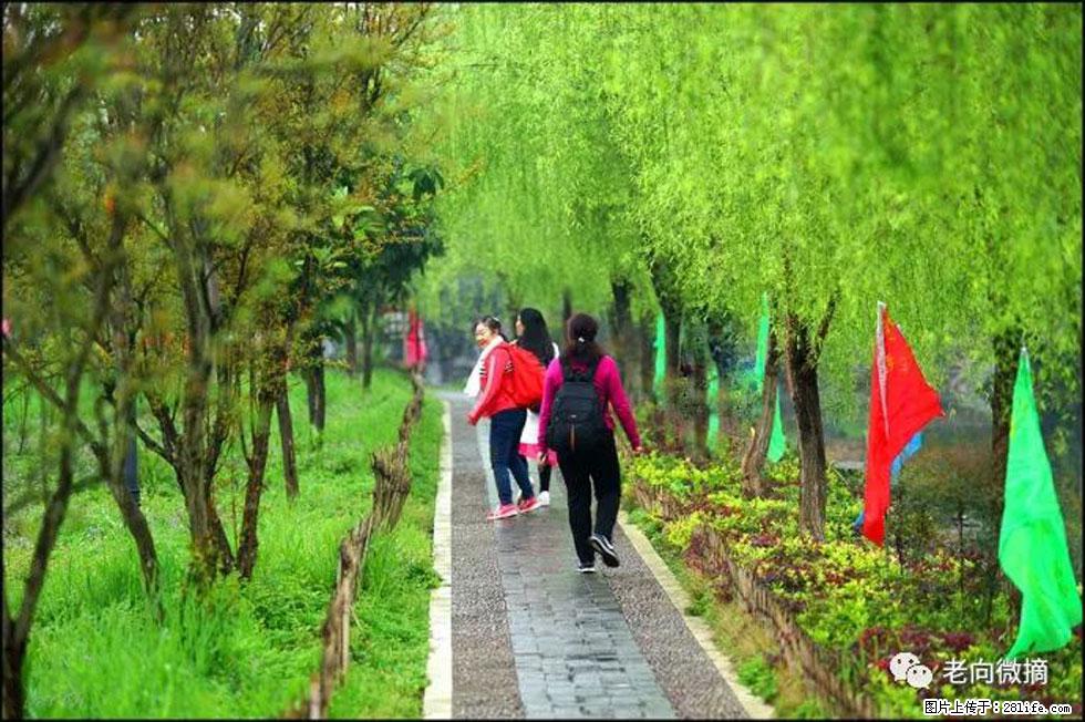 【春天，广西桂林灌阳县向您发出邀请！】江口老街又逢春 - 游山玩水 - 辽源生活社区 - 辽源28生活网 liaoyuan.28life.net