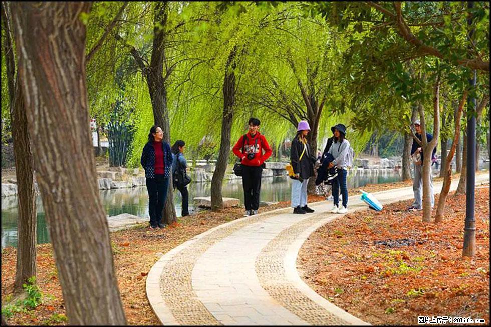 【春天，广西桂林灌阳县向您发出邀请！】江口老街又逢春 - 游山玩水 - 辽源生活社区 - 辽源28生活网 liaoyuan.28life.net