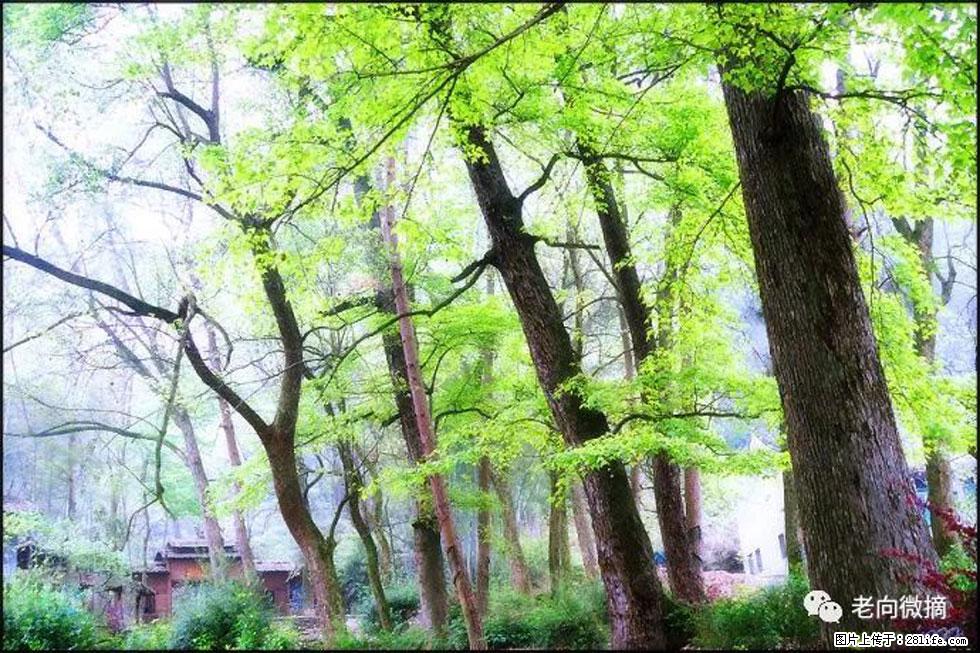 【春天，广西桂林灌阳县向您发出邀请！】在小龙村与春天约会 - 游山玩水 - 辽源生活社区 - 辽源28生活网 liaoyuan.28life.net