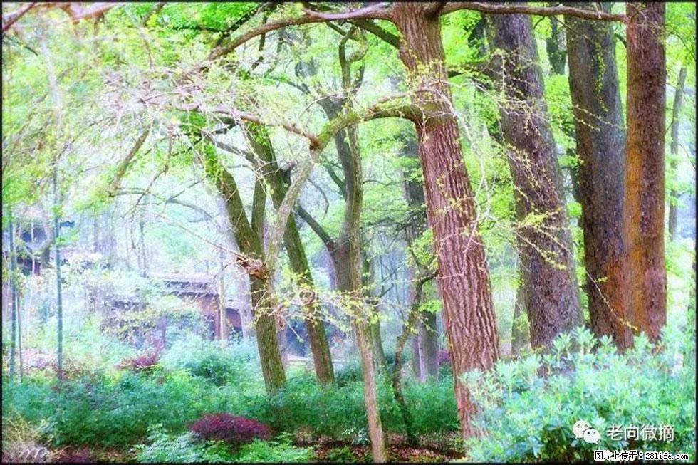 【春天，广西桂林灌阳县向您发出邀请！】在小龙村与春天约会 - 游山玩水 - 辽源生活社区 - 辽源28生活网 liaoyuan.28life.net