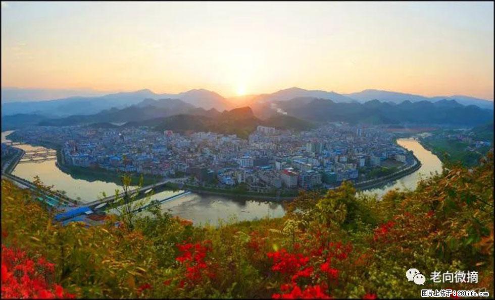 【春天，广西桂林灌阳县向您发出邀请！】登麒麟山，相约映山红 - 游山玩水 - 辽源生活社区 - 辽源28生活网 liaoyuan.28life.net