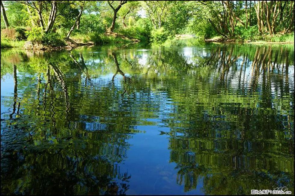 【春天,广西桂林灌阳县向您发出邀请!】熊家寨湿地公园 - 游山玩水 - 辽源生活社区 - 辽源28生活网 liaoyuan.28life.net
