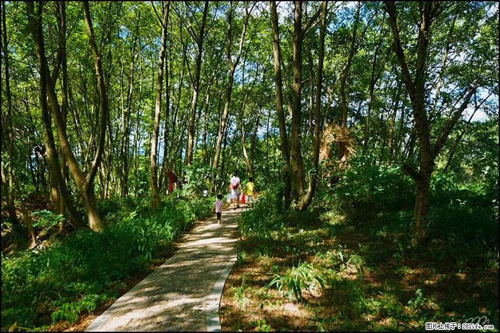 【春天,广西桂林灌阳县向您发出邀请!】熊家寨湿地公园 - 游山玩水 - 辽源生活社区 - 辽源28生活网 liaoyuan.28life.net