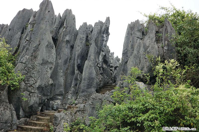 桂林旅游名城景点：灌阳文市石林 - 游山玩水 - 辽源生活社区 - 辽源28生活网 liaoyuan.28life.net
