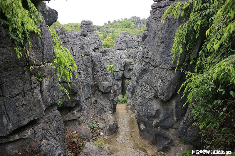 桂林旅游名城景点：灌阳文市石林 - 游山玩水 - 辽源生活社区 - 辽源28生活网 liaoyuan.28life.net