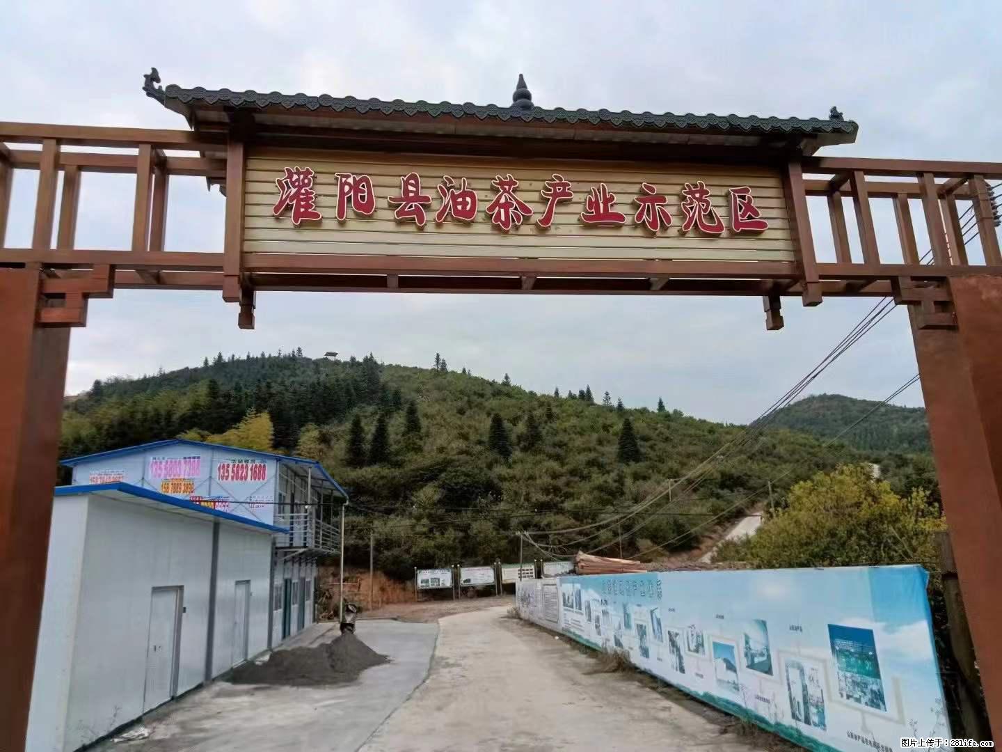 【灌阳县油茶产业示范区】一个有着充实的精神生活的人，对待身外之物自会有一种淡泊的态度 - 土特产 - 饮食特产 - 辽源分类信息 - 辽源28生活网 liaoyuan.28life.net