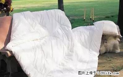 被子有异味？只要这样做，比晒太阳还强100倍！ - 家居生活 - 辽源生活社区 - 辽源28生活网 liaoyuan.28life.net