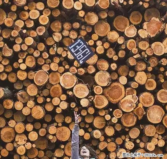辞掉工作周游世界？现在他们在洗厕所…… - 游山玩水 - 辽源生活社区 - 辽源28生活网 liaoyuan.28life.net