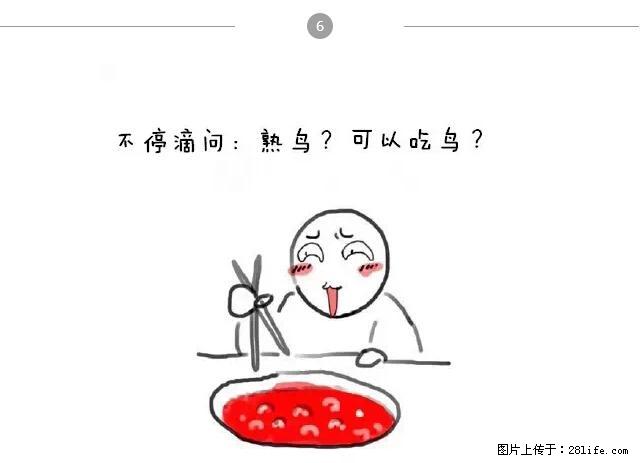 千万不要和这9种哈卵一起吃火锅! - 美食天地 - 辽源生活社区 - 辽源28生活网 liaoyuan.28life.net