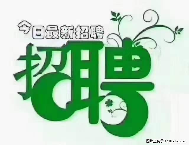 【招聘摄像师】待遇：试用期6000元/月，转正7000元/月+五险一金+餐补+节日福利+奖金 - 职场交流 - 辽源生活社区 - 辽源28生活网 liaoyuan.28life.net