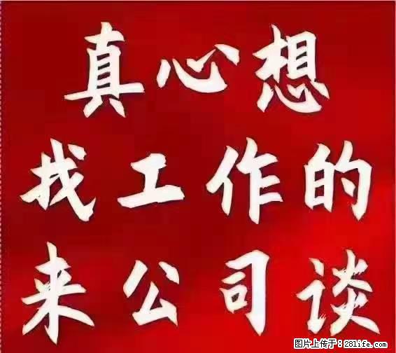 【上海】国企，医院招两名男保安，55岁以下，身高1.7米以上，无犯罪记录不良嗜好 - 职场交流 - 辽源生活社区 - 辽源28生活网 liaoyuan.28life.net