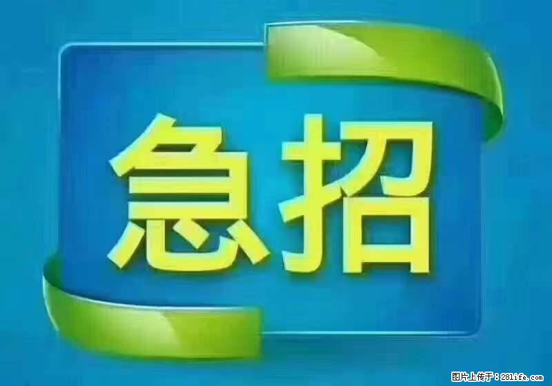 招财务，有会计证的，熟手会计1.1万底薪，上海五险一金，包住，包工作餐，做六休一 - 职场交流 - 辽源生活社区 - 辽源28生活网 liaoyuan.28life.net