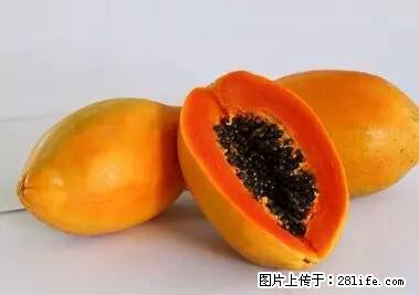 晕车、脚气、牙齿变黄、皮肤粗糙？学会这些三分钟搞定！ - 辽源生活资讯 - 辽源28生活网 liaoyuan.28life.net