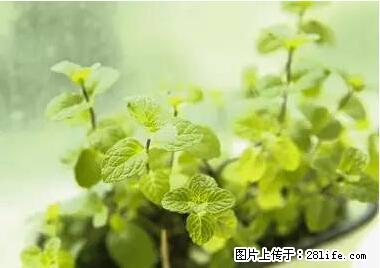 晕车、脚气、牙齿变黄、皮肤粗糙？学会这些三分钟搞定！ - 辽源生活资讯 - 辽源28生活网 liaoyuan.28life.net