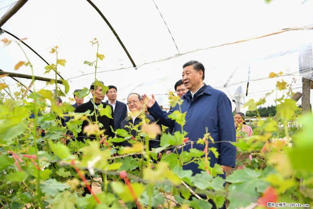 习近平赴广西考察调研 - 辽源生活资讯 - 辽源28生活网 liaoyuan.28life.net