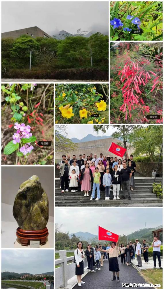 “粤灌文化 美好生活”油茶文化主题活动在广东深圳成功举办 - 辽源生活资讯 - 辽源28生活网 liaoyuan.28life.net