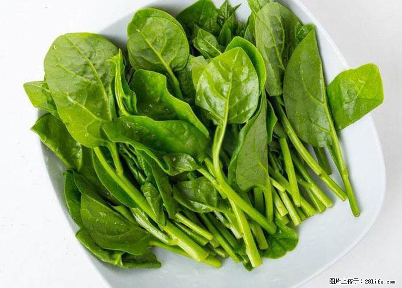这些蔬菜是“天然钙片”，这6种被医生重点推荐 - 辽源生活资讯 - 辽源28生活网 liaoyuan.28life.net
