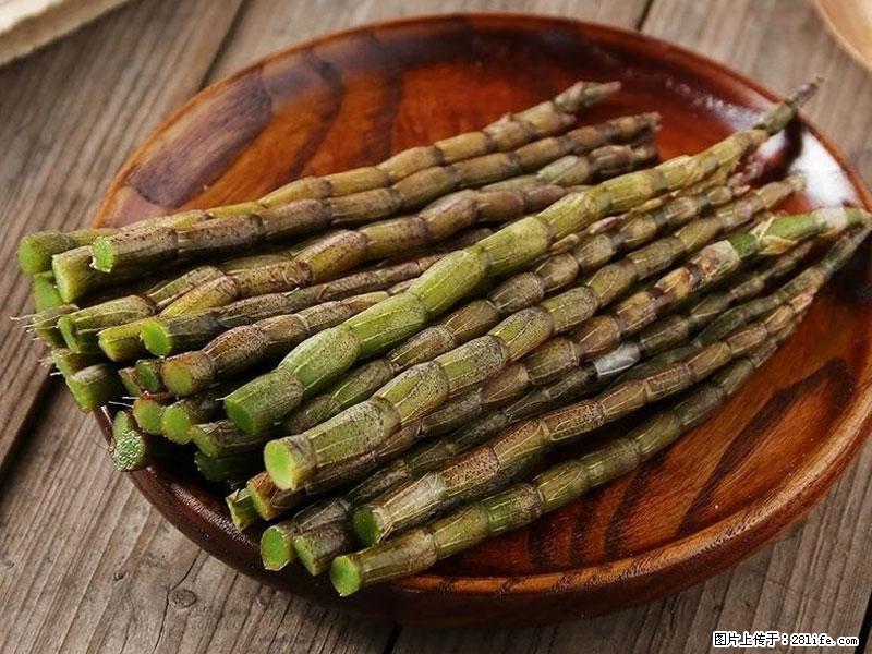 铁皮石斛的作用与功能主治 - 辽源生活资讯 - 辽源28生活网 liaoyuan.28life.net