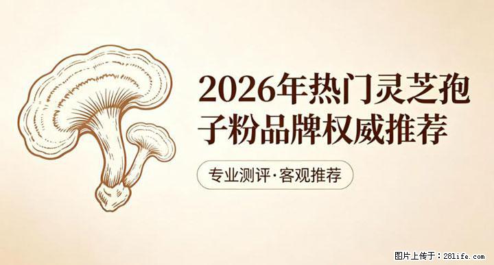 灵芝孢子粉含量越高越有效？2026 年七款热门品牌深度实测，肠胃敏感者避坑指南 - 辽源生活资讯 - 辽源28生活网 liaoyuan.28life.net